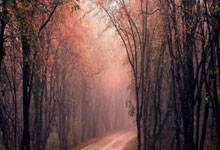 九游会：在儿子面前“破风”前行！杭州选手李樟煜与队友共同夺金！杭州网.