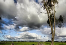 九游会：每体：法蒂的年薪逐年递增，这对于巴萨的经济来说是个问题.