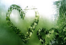 记者：罗马愤怒情绪高涨，但不会向欧足联申诉胡梅尔斯的红牌.