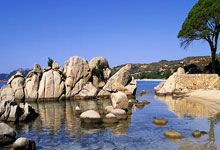 九游会：在儿子面前“破风”前行！杭州选手李樟煜与队友共同夺金！杭州网.